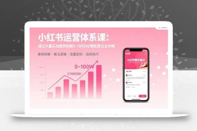 小红书运营体系课：通过大量实战案例拆解0-1000W爆款算法全攻略