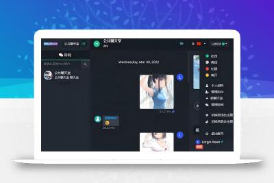 最新公共聊天室系统源码 ChatNet V1.11-V1.9 完整汉化版源码 私人聊天程序