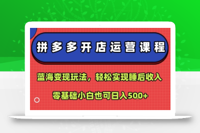 拼多多开店运营课程：蓝海变现玩法，轻松实现睡后收入，零基础小白也可日入5张