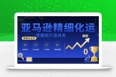 亚马逊精细化运营爆款打造体系，视频课+全套资料文档