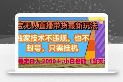 淘宝无人直播带货最新玩法，独家技术不违规，也不封号，全自动运行，只需挂着，  稳定日入2k【揭秘】