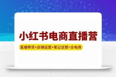 申铭老师·小红书电商直播营(更新)